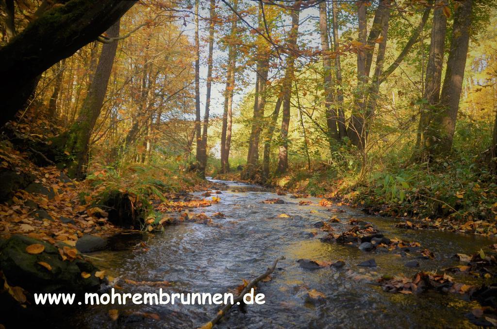 Hotel & Cafe Mohrenbrunnen Eisenberg  Exterior photo