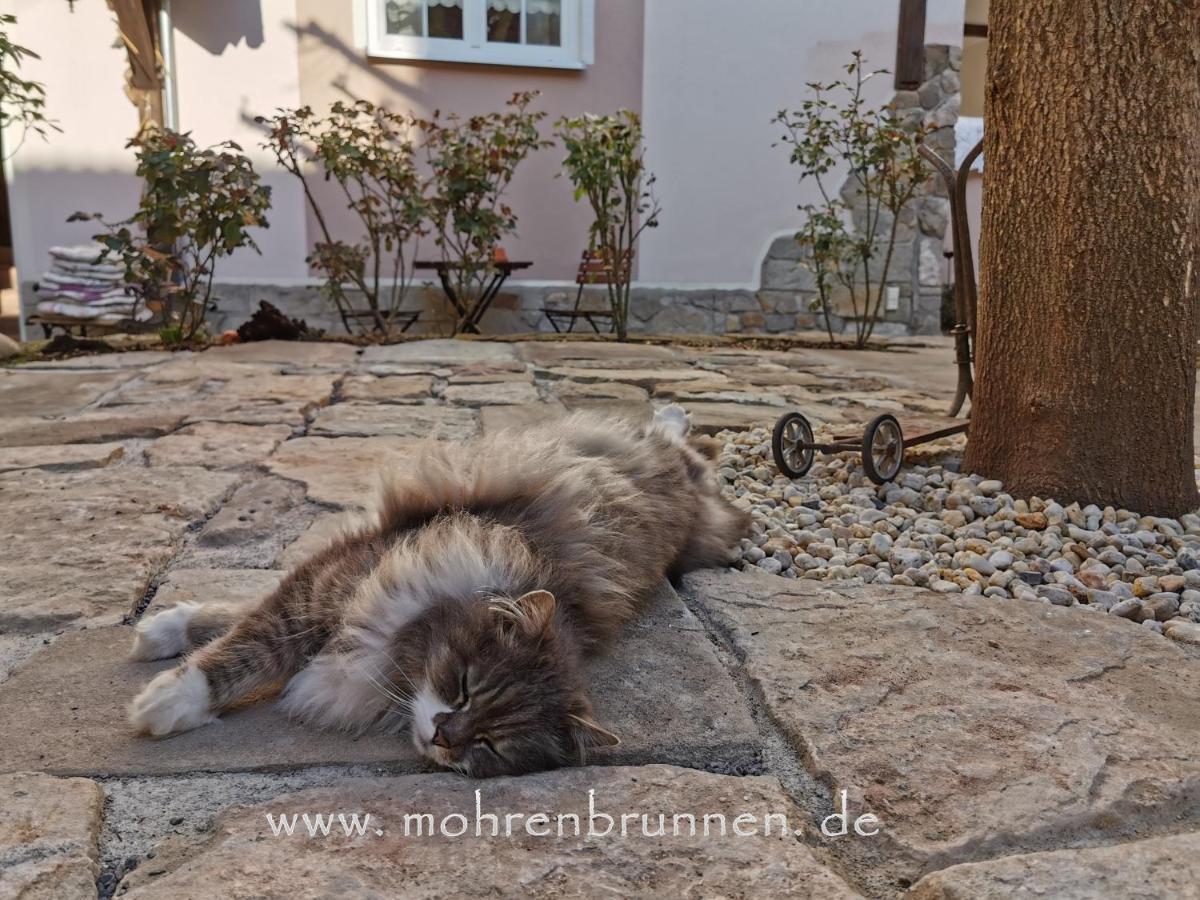 Hotel & Cafe Mohrenbrunnen Eisenberg  Exterior photo